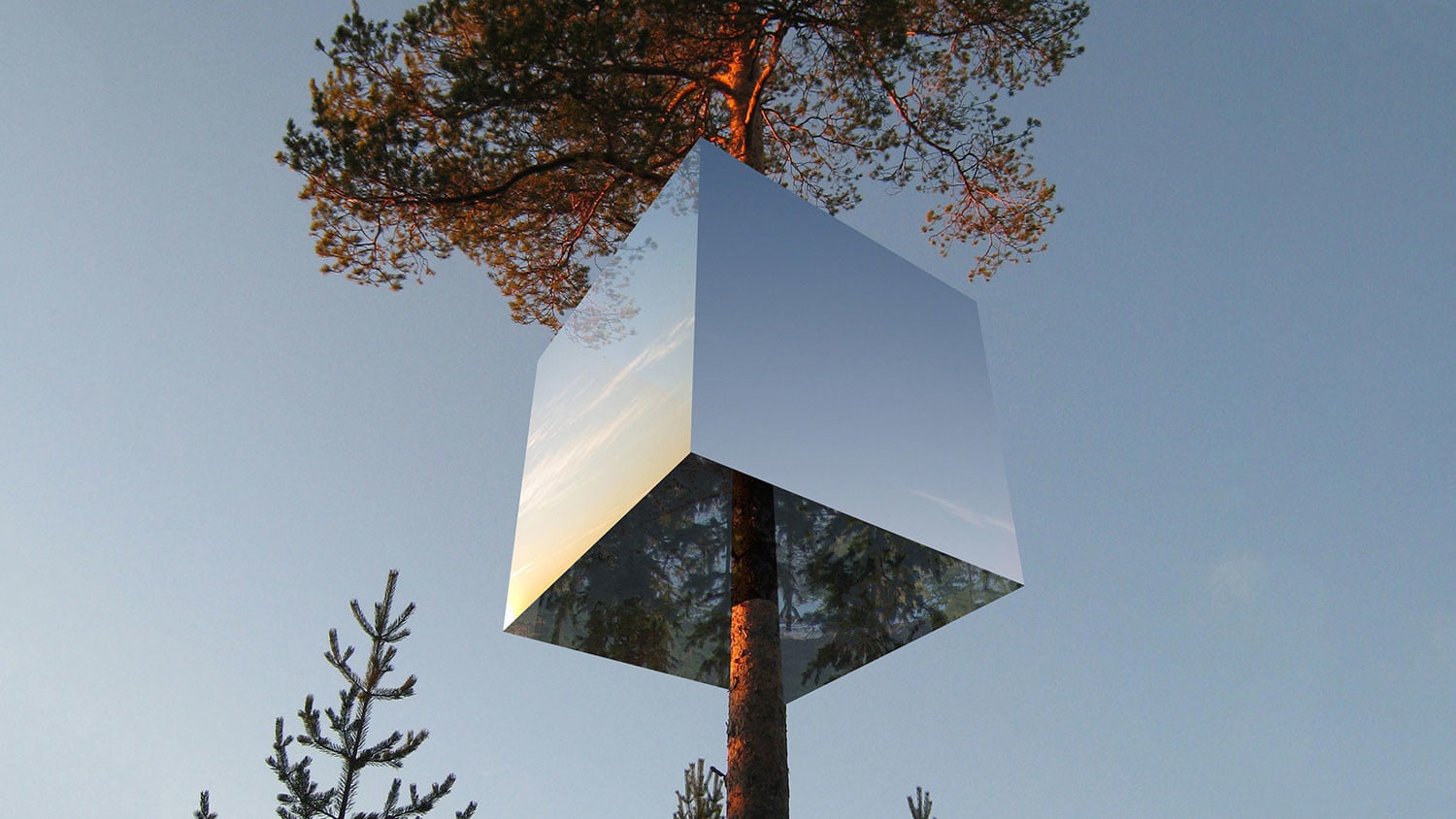 These awesome treehouses let you sleep among the leaves