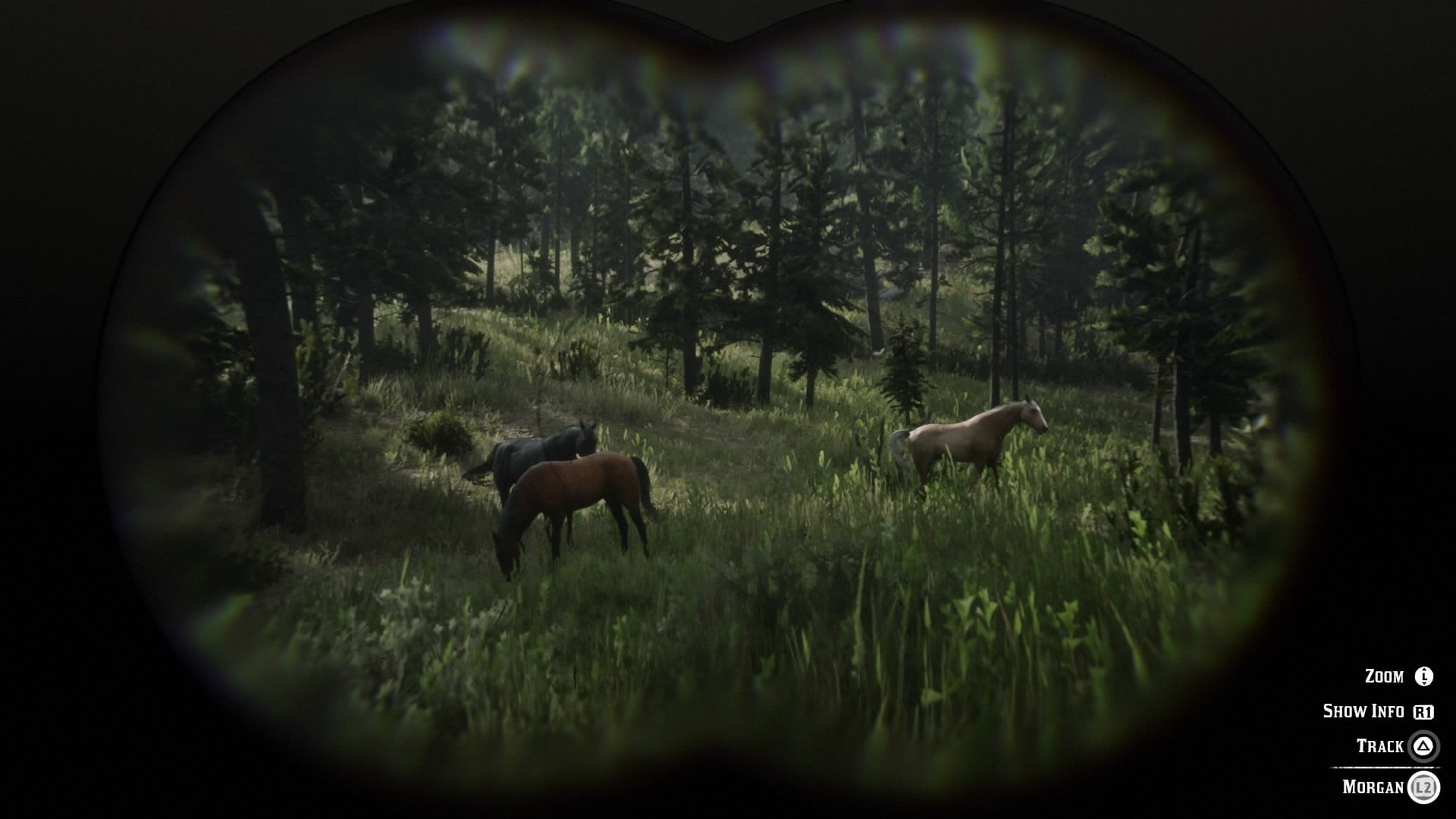 ‘Red Dead Redemption 2’: How to find the best horses