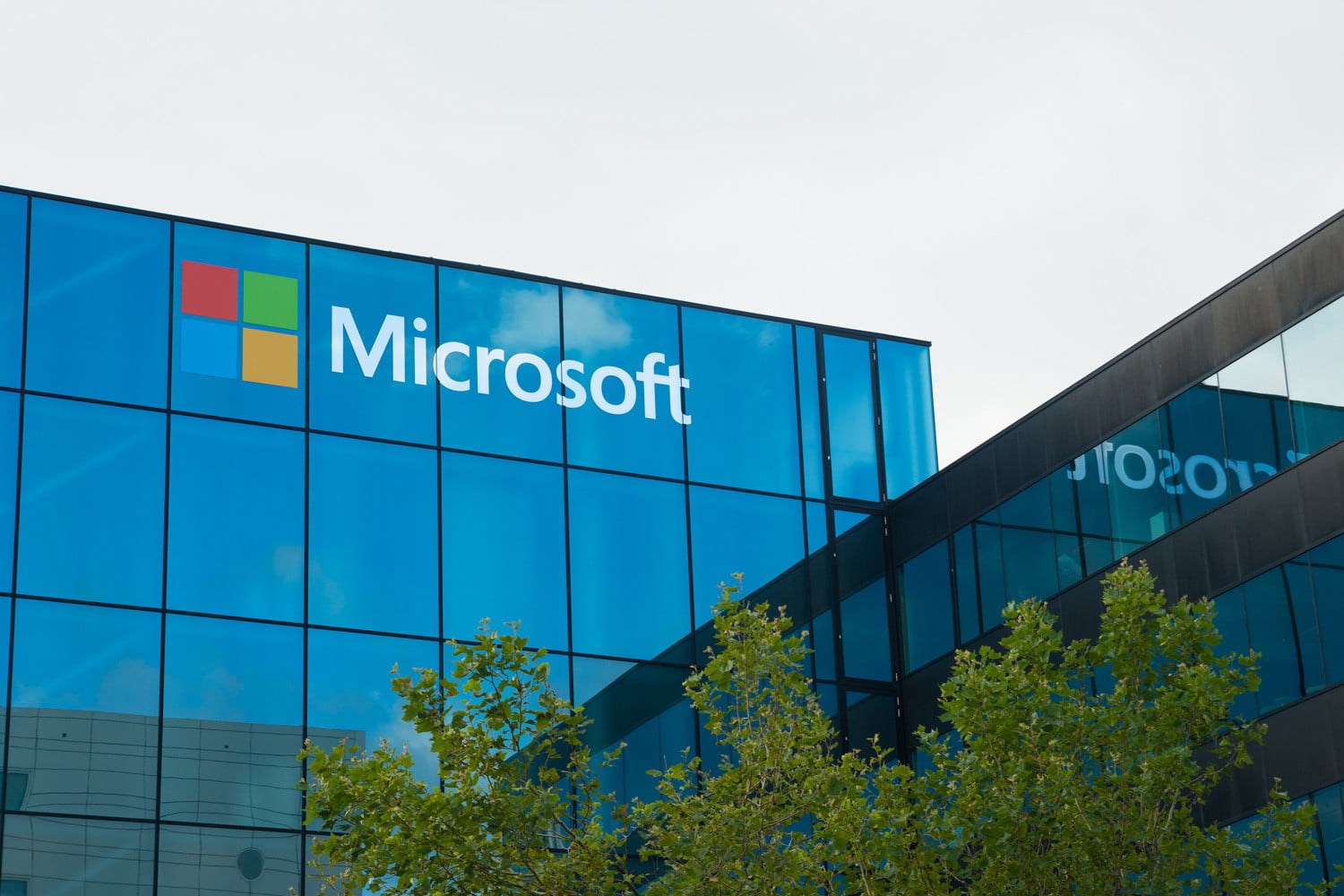 Service restored after glitch locks out Microsoft Office 365 business users