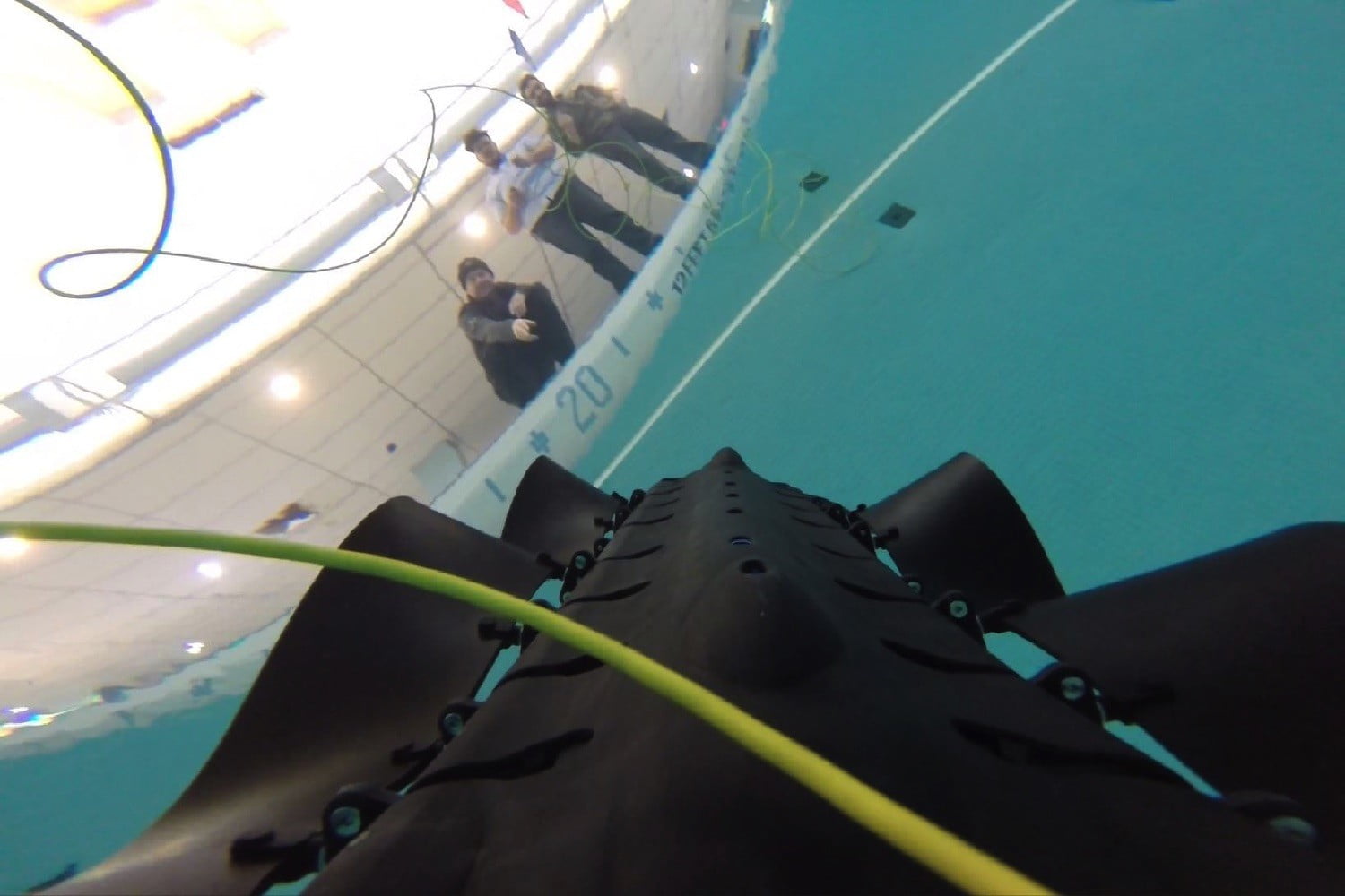 This unusual nature-inspired robot is equally at home on land or in the water