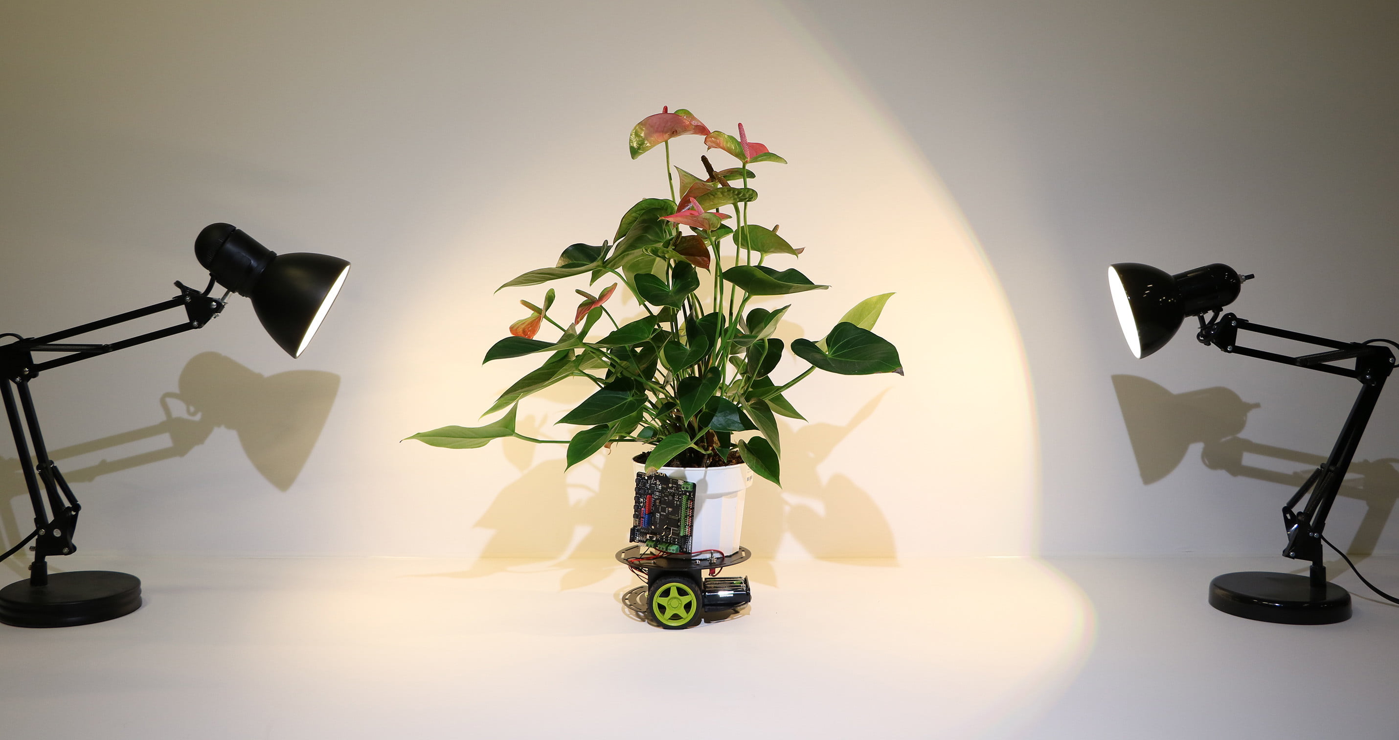 Meet the MIT scientist who’s growing semi-sentient cyborg houseplants