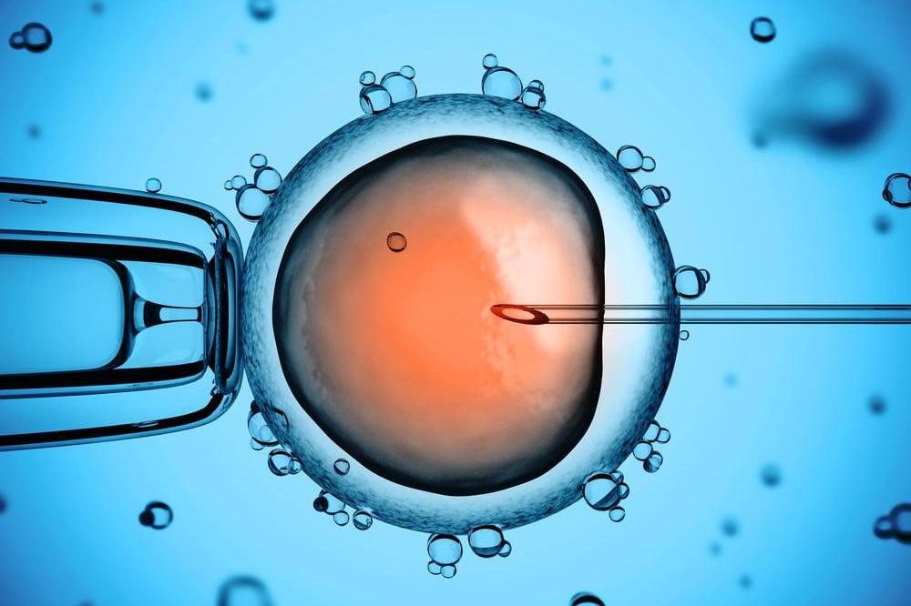 The CRISPR baby saga continues as China confirms second gene-edited pregnancy